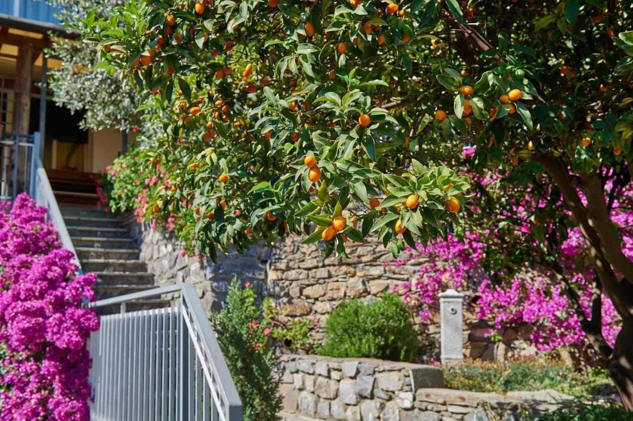 B&B Villa Karen * Alassio